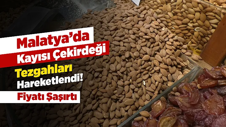 Malatya’da Kayısı Çekirdeği Sezonu! En Çok Hangisi Satılıyor?