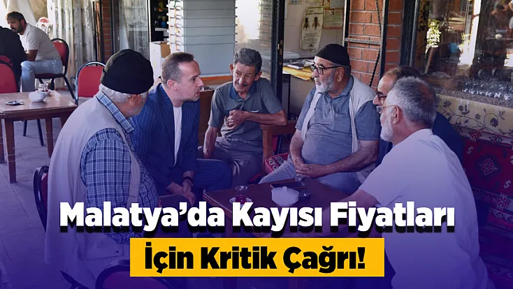 Malatya’da Kayısı Fiyatları Geriledi, Esnaf Ve Çiftçi Dert Yandı!