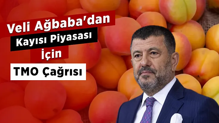 Malatya'da Kayısı Hasadı Başladı, Fiyat Tartışması Büyüdü! Ağbaba'dan Açıklama