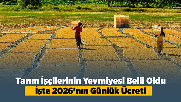 Malatya'da Kayısı Hasadı Öncesi Beklenen Açıklama Geldi! İşçi Ücretleri Netleşti