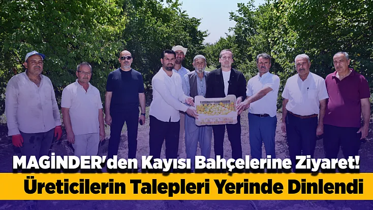 Malatya'da Kayısı Hasadı Sahaya Taşındı! Üreticiler Fiyat Ve Destek Beklentisini Dile Getirdi
