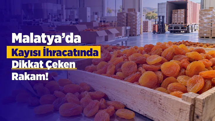 Malatya’da Kayısı İhracatını Bu Kez Kükürt Sorunu Vurdu!