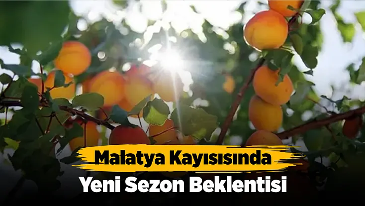 Malatya'da Kayısı Üreticisinin Merakla Beklediği Veriler İçin Geri Sayım Başladı!