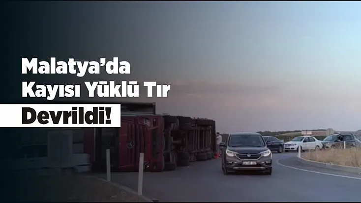 Malatya’da Kayısı Yüklü Tır Devrildi! Yol Kayısılarla Doldu
