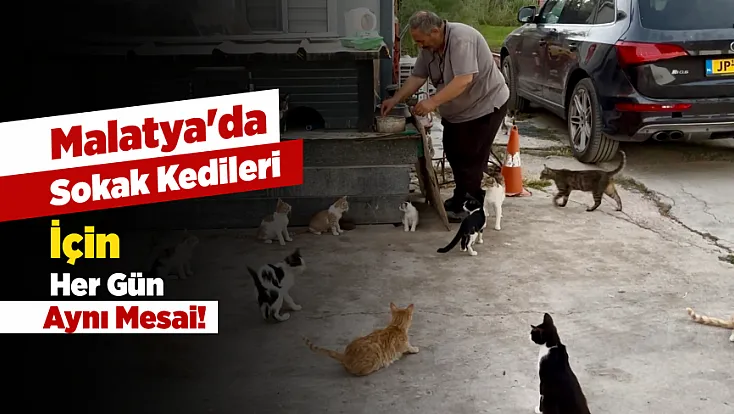 Malatya'da Kediler İçin Kurduğu Rutin Yıllardır Devam Ediyor!