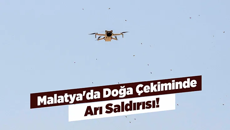 Malatya'da Kelebek Peşindeki Fotoğrafçılar Arı Saldırısıyla Karşılaştı