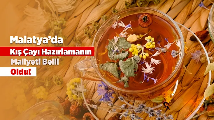 Malatya'da Kışın Gözdesi Ihlamur Cep Yakıyor! Tezgahların Şampiyonu Fiyatıyla Şaşırtıyor