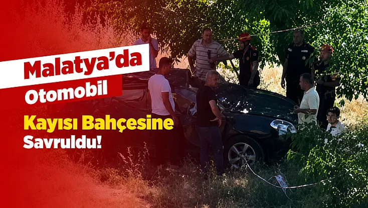 Malatya'da Kontrolden Çıkan Araç Kayısı Bahçesine Savruldu!