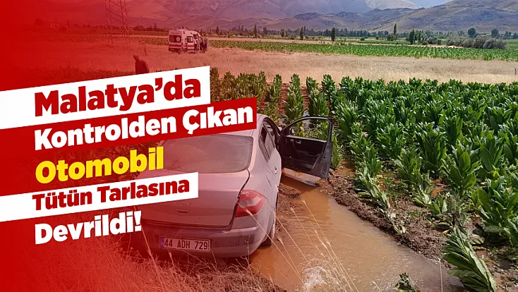 Malatya’da Kontrolden Çıkan Otomobil Tütün Tarlasına Devrildi! 3 Kişi Yaralandı