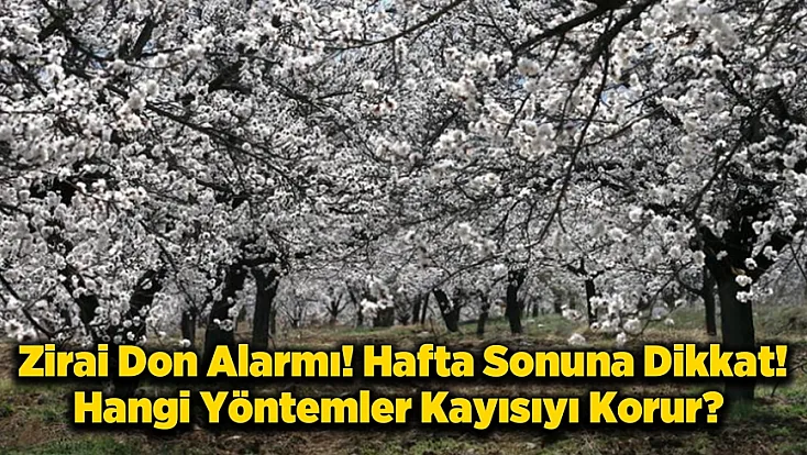Malatya’da Kritik Hafta Sonu Uyarısı! Kayısı İçin Zirai Don Alarmı!