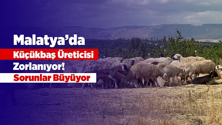Malatya’da Küçükbaş Hayvancılıkta Mera Ve Çoban Sorunu Büyüyor!
