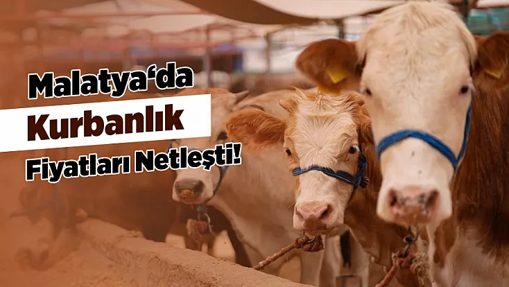 Malatya’da Kurbanlık Fiyatları ve Stok Durumu Netleşti