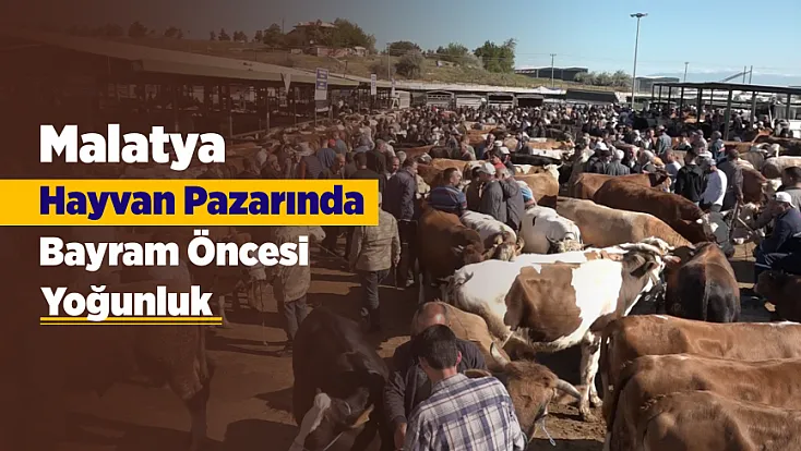 Malatya’da Kurbanlık Pazarında Yoğunluk Var Ama Alım Yok!
