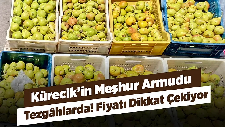 Malatya’da Kürecik’in Bal Armudu İçin Sezon Başladı!
