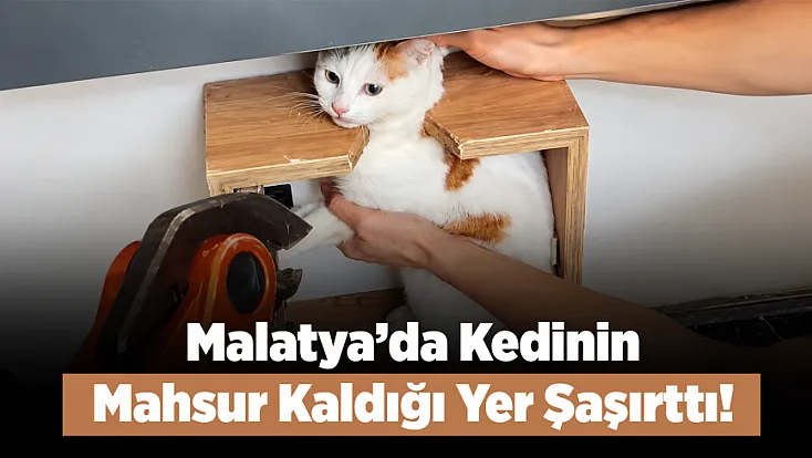Malatya’da Minik Kedi İçin Kurtarma Operasyonu!