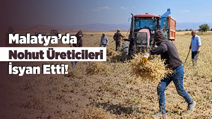 Malatya'da Nohut Üreticisi İsyan Etti!