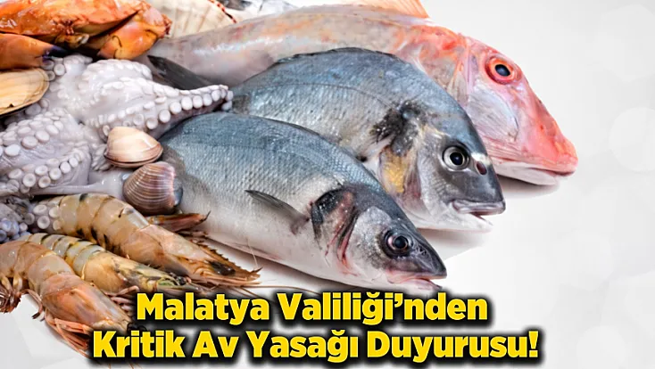 Malatya’da Oltalar Rafa Kalkıyor: 1 Nisan’da Başlayan Yasak Kimleri Kapsıyor?