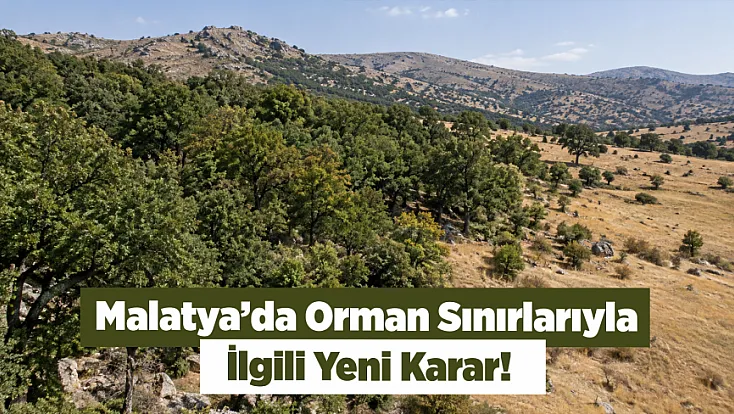 Malatya’da Orman Sınırları Değişti! 2 Bin 788 Metrekarelik Alan İçin Karar