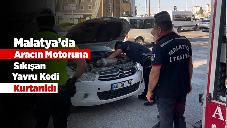 Malatya’da Otomobilde Mahsur Kalan Yavru Kedi Kurtarıldı