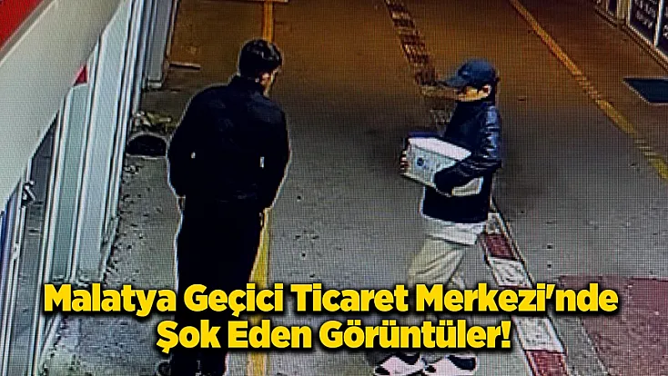 Malatya'da Pes Dedirten Hırsızlık!