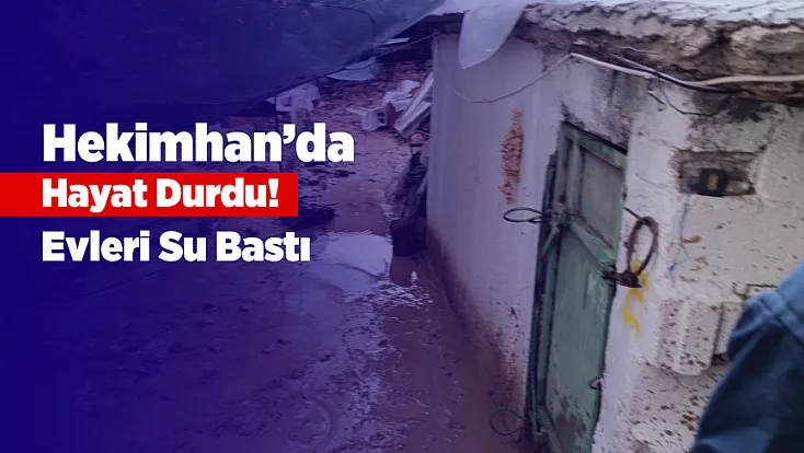Malatya’da Sağanak Kayısı Üreticisini Vurdu! Hekimhan'da Sergenlerdeki Ürünler Zarar Gördü