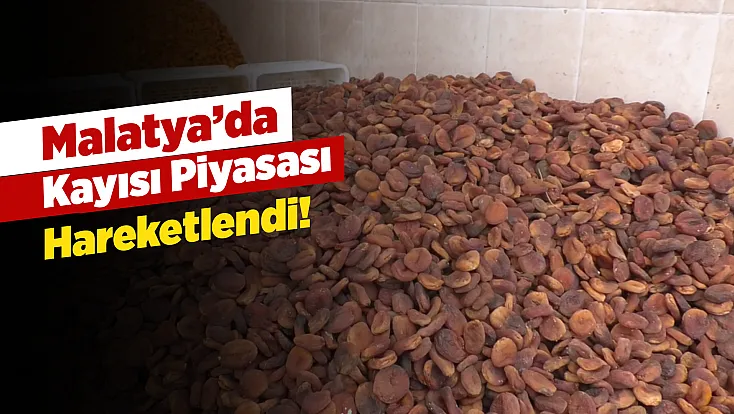 Malatya'da Sezonun İlk Fiyatları Üreticiyi Ve Tüccarı Nasıl Etkiledi?