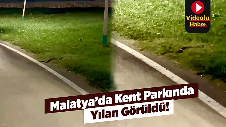 Malatya’da Sıcak Hava Etkisini Gösterdi! Kent Parkında Yılan Görüldü