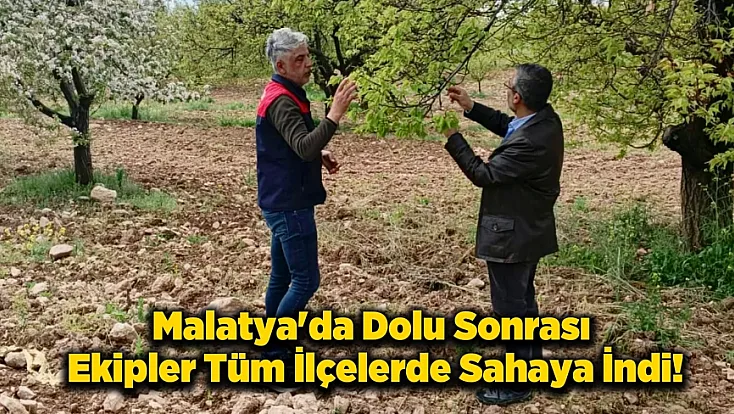 Malatya!da Tarım Alanlarında Hasar Tespit Alarmı! Üreticinin Kaybı Yerinde İnceleniyor