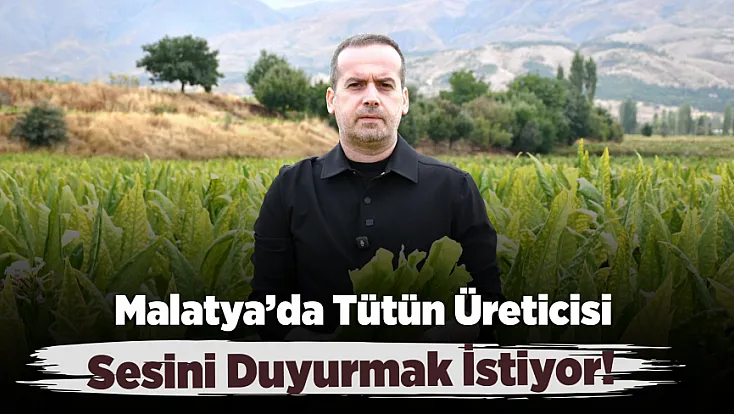 Malatya’da Tütün Üreticisi İsyanda! Fiyatlar Geriledi