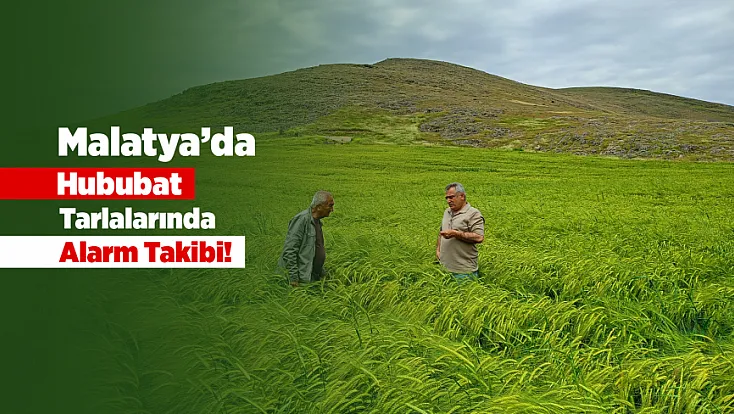 Malatya’da Verim Kaybına Karşı Tarlalarda Yoğun Kontrol!