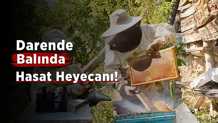 Malatya'da Yağışlar Bal Üreticisini Sevindirdi! Darende’de Rekolte Yükseldi