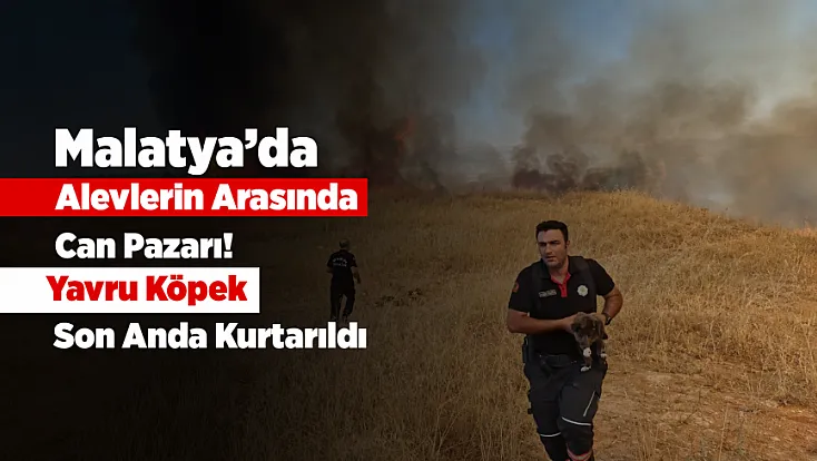 Malatya’da Yangında Yavru Köpek Son Anda Kurtarıldı!