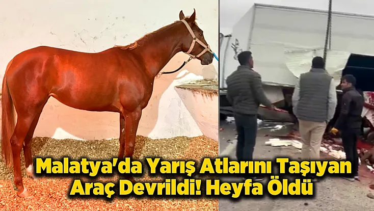 Malatya'da Yarış Atlarını Taşıyan Araç Devrildi! Heyfa Hayatını Kaybetti, Rotoractor Yaralı