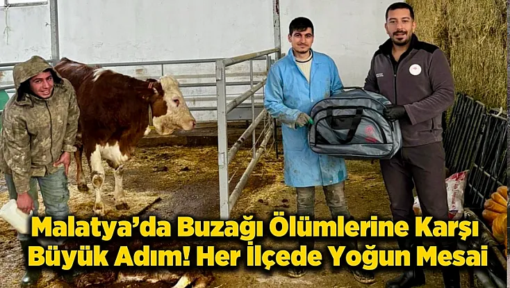 Malatya'da “Yaşasın Buzağılar” Projesi Hayata Geçirildi!