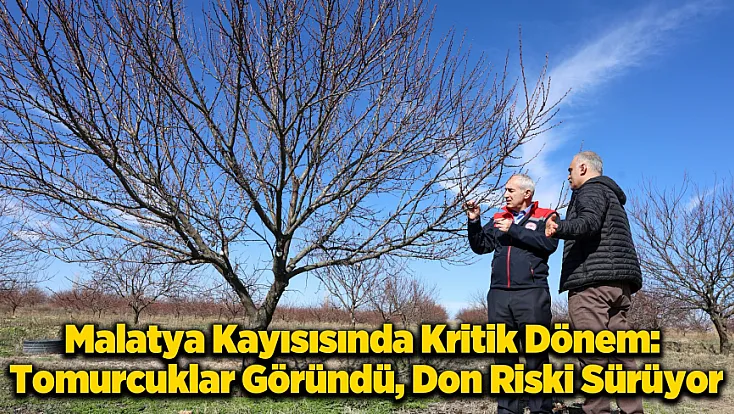 Malatya'da Yeni Sezon Heyecanı: Kayısıda Verim Bu Yıl Nasıl Olacak?