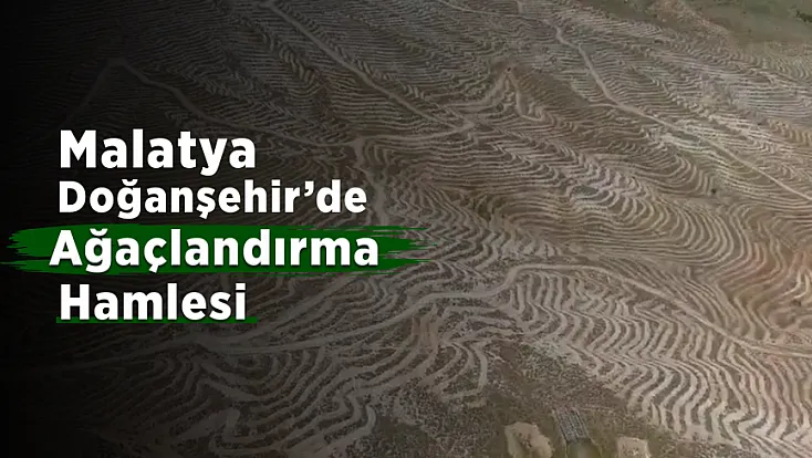 Malatya’da Yeşil Vatan Hamlesi! Doğanşehir Dağlarında Dönüşüm