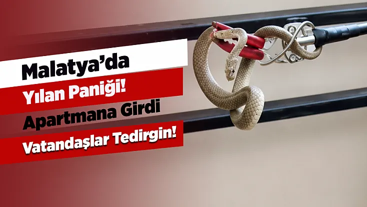 Malatya’da Yılanlar Apartman Boşluklarına Kadar Girdi