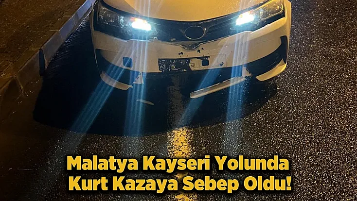 Malatya'da Yola İnen Kurt Kazaya Sebep Oldu! Araç Kullanılamaz Hale Geldi
