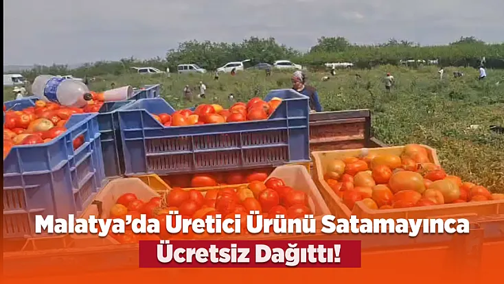 Malatya'da Zarar Eden Çiftçinin Tonlarca Ürünü Tarlada Ücretsiz Dağıtılıyor