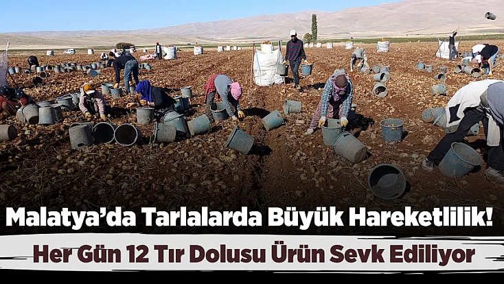 Malatya’dan Tarımda Yerli Hamle! Binlerce Dönüm Arazide Hasat Mesaisi
