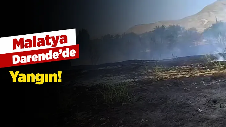 Malatya Darende’de Yangın! Tarım Arazileri Son Anda Kurtarıldı