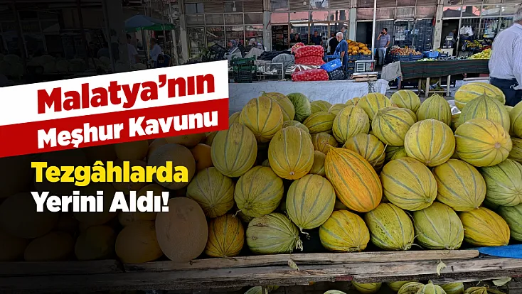 Malatya Darende’nin Meşhur Kavunu Tezgâhlarda Yerini Aldı!