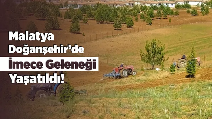 Malatya Doğanşehir'de Mezarlıkta İmece Çalışması!