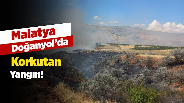 Malatya Doğanyol’da 300 Dönümlük Alan Kül Oldu! Alevler Yerleşim Yerlerine Dayandı