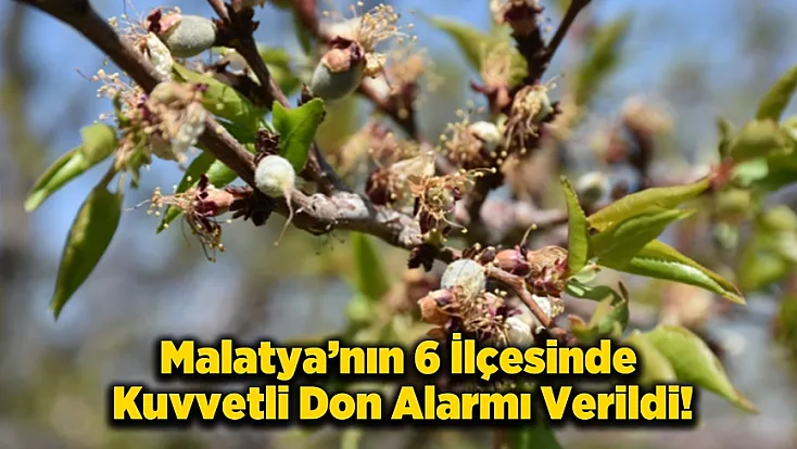 Malatya İçin Kritik Uyarı! 12 Nisan'a Kadar Zirai Don Tehlikesi Kapıda!