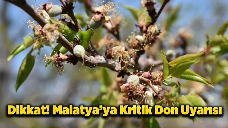 Malatya İçin Valilikten Zirai Don Uyarısı! Tarih ve Saat Verildi!