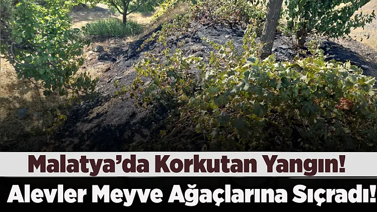 Malatya Kale’de Yangın Büyüdü! Alevler Meyve Ağaçlarına Sıçradı
