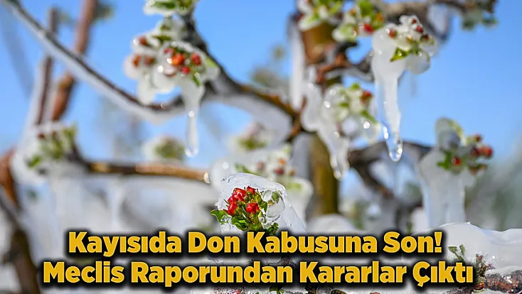 Malatya Kayısısına Meclis Kalkanı! Zirai Don Artık Kader Olmayacak