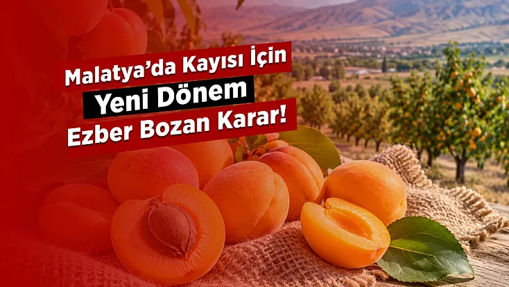 Malatya Kayısısında Devrim Niteliğinde Karar: Yeni Dönem Başlıyor!