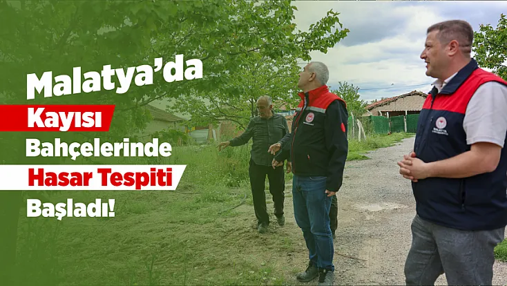Malatya Kayısısında Dolu Endişesi! Ekipler Sahaya İndi